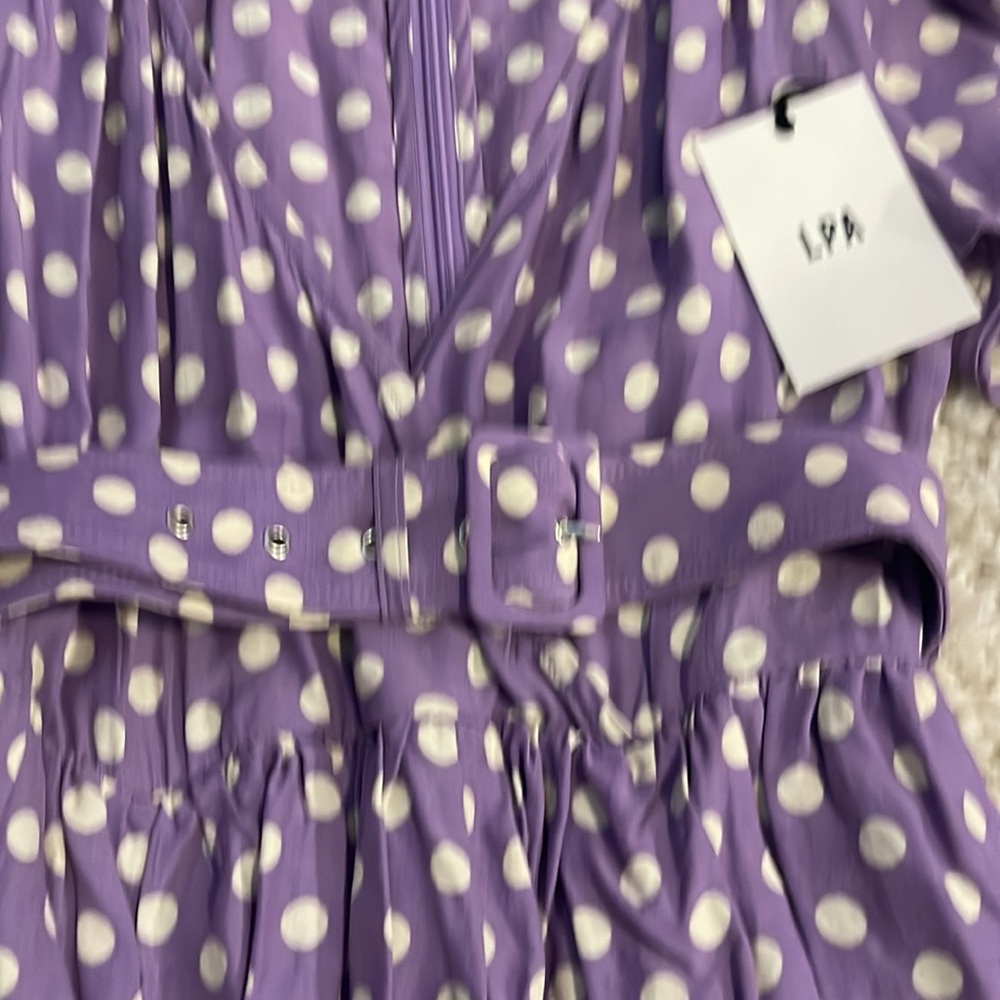 New! LPA Ailisa Annette dot XS dress CUTE! - Picture 8 of 11